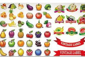 娱乐吃瓜酱视频边框设计,揭秘视频边框设计新潮流